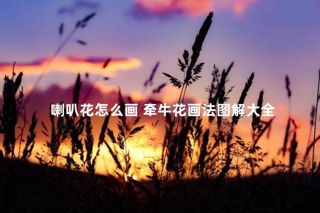 喇叭花怎么画 牵牛花画法图解大全